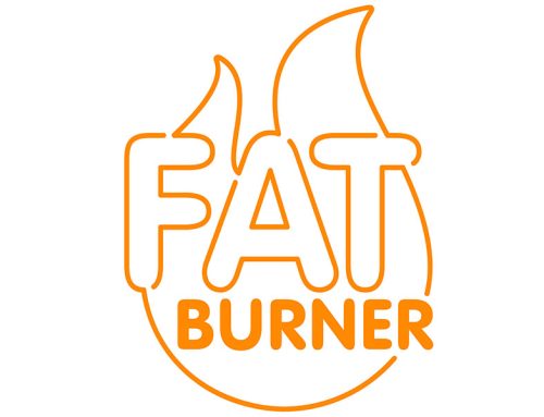 About “Fat Burning Recipes”…