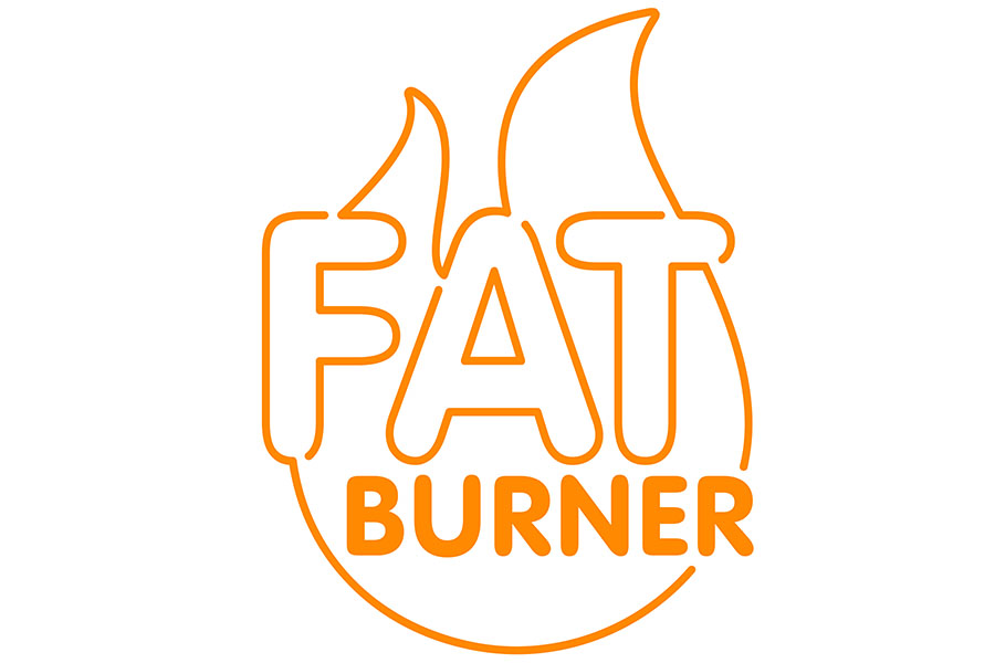 fat burning recipes